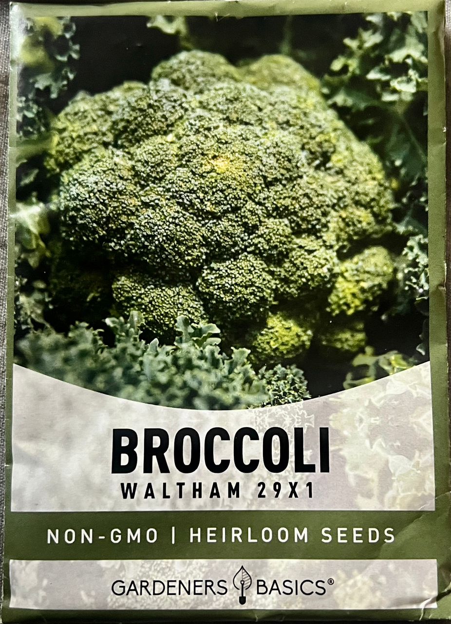 Gardeners Basics Broccoli Waltham 29x1 - Savvy Gardens Centre