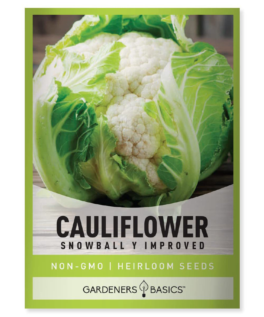Gardeners Basics Cauliflower Snowbally Imp - Savvy Gardens Centre