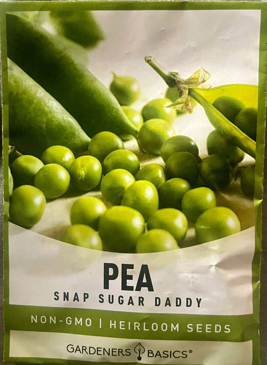 Gardeners Basics Pea Snap Sugar Daddy - Savvy Gardens Centre