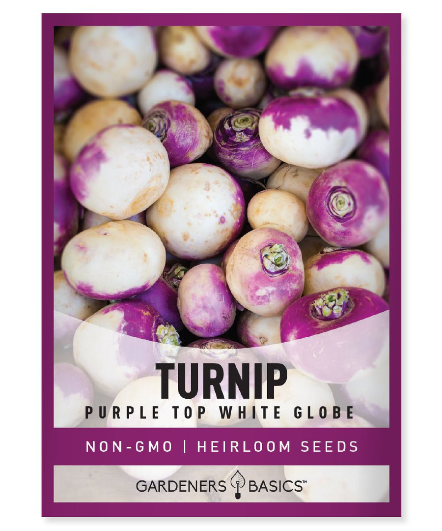 Gardeners Basics Purple Top White Globe Turnip - Savvy Gardens Centre