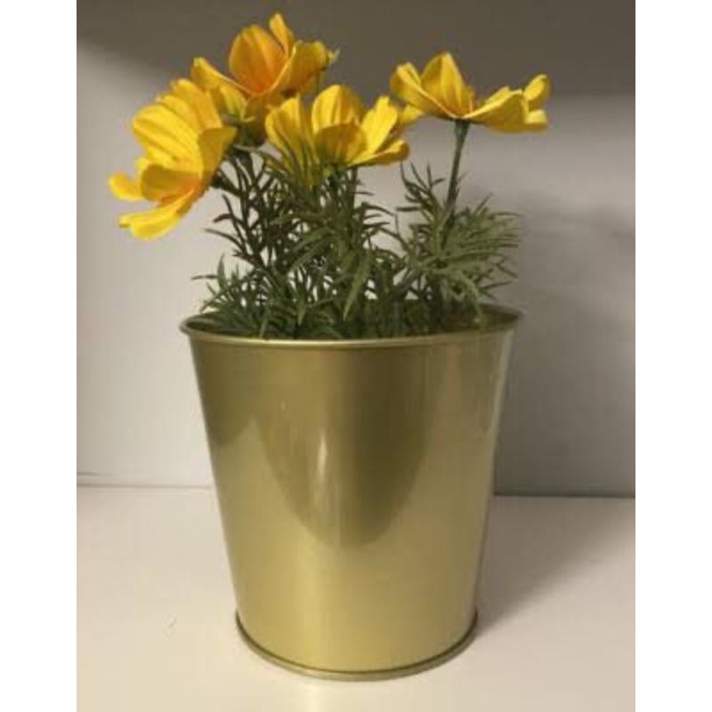 Gold Galvanised Planter - Savvy Gardens Centre