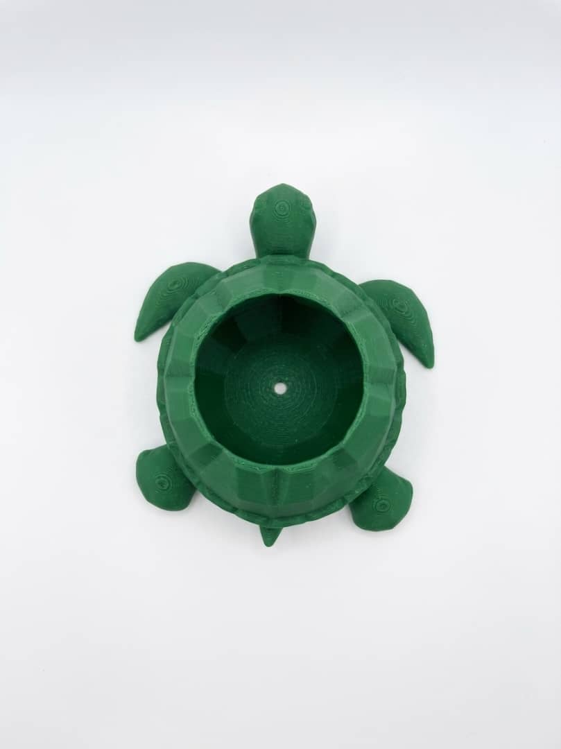 Green Turtle Shaped Planter - Savvy Gardens Centre