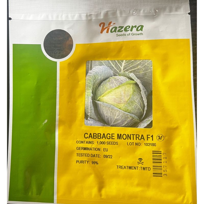 Hazera Cabbage Montra F1 - Savvy Gardens Centre