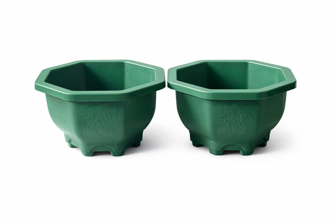 Hexagonal Plastic Flowerpots with Saucer - Savvy Gardens Centre