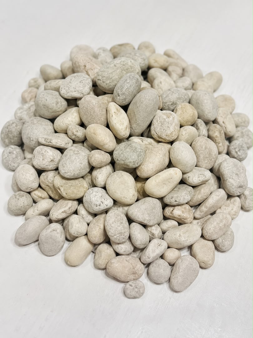 Natural Decorative White Pebble Stones 12.5kg - Savvy Gardens Centre