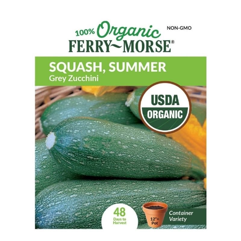 Organic Ferry Morse Squash,Summer Grey Zucchini - Savvy Gardens Centre