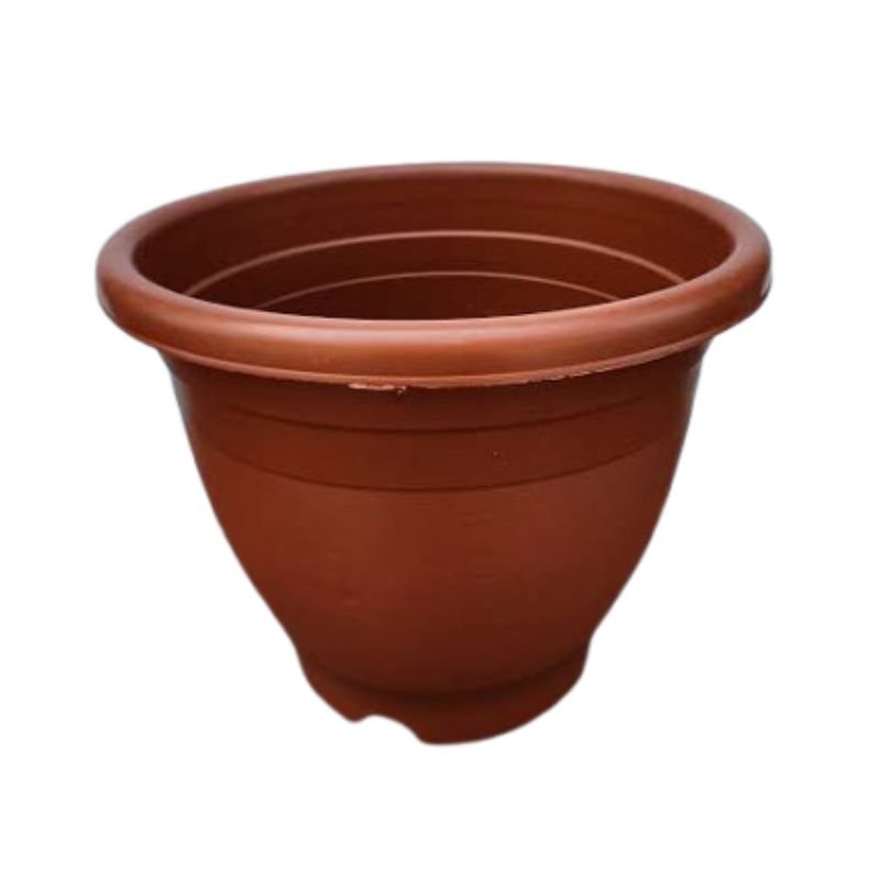 Papillion Pot - Savvy Gardens Centre