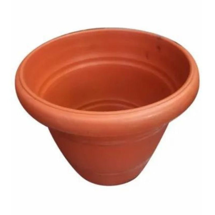 Papillion Pot - Savvy Gardens Centre