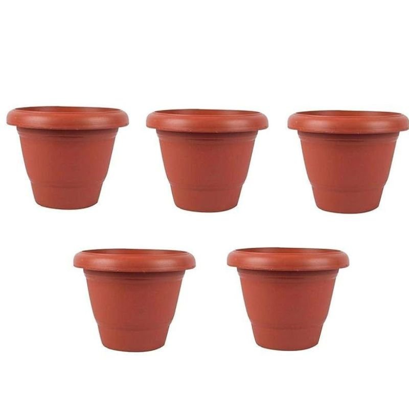 Papillion Pot - Savvy Gardens Centre