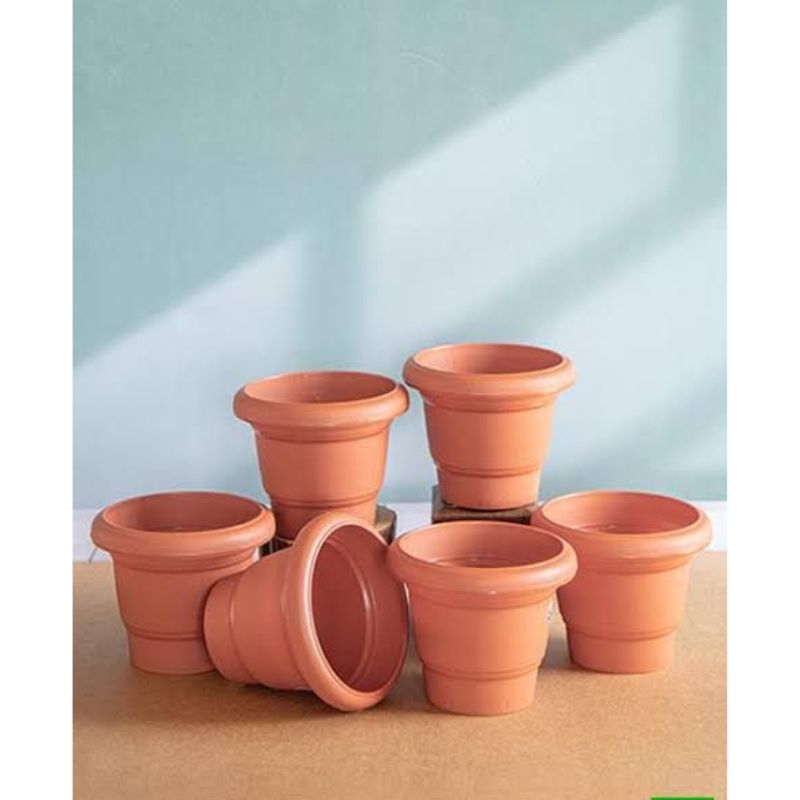 Papillion Pot - Savvy Gardens Centre