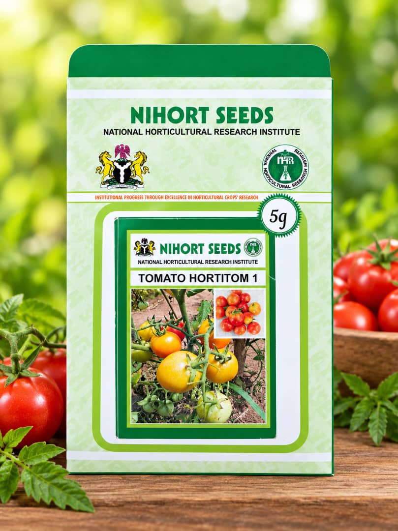 NIHORT Tomato seeds – HORTITOM 1