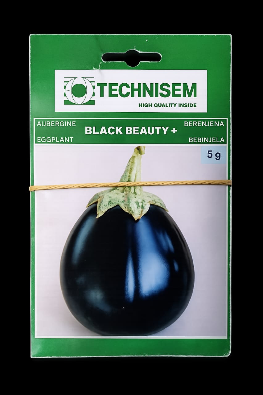 Technisem Black Beauty Eggplant seeds 5g