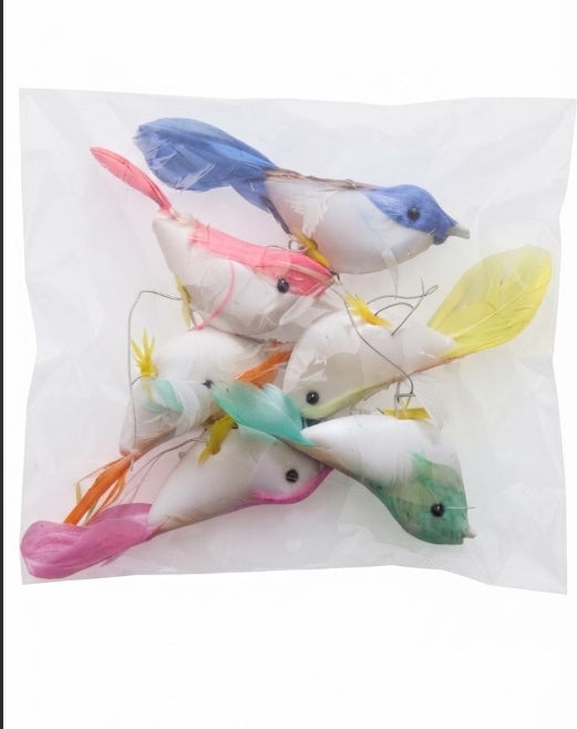 Decorative Clip on Craft Birds