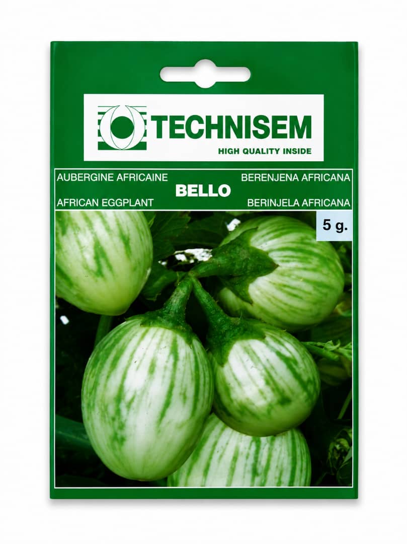 Technisem Bello African Eggplant seeds 5g