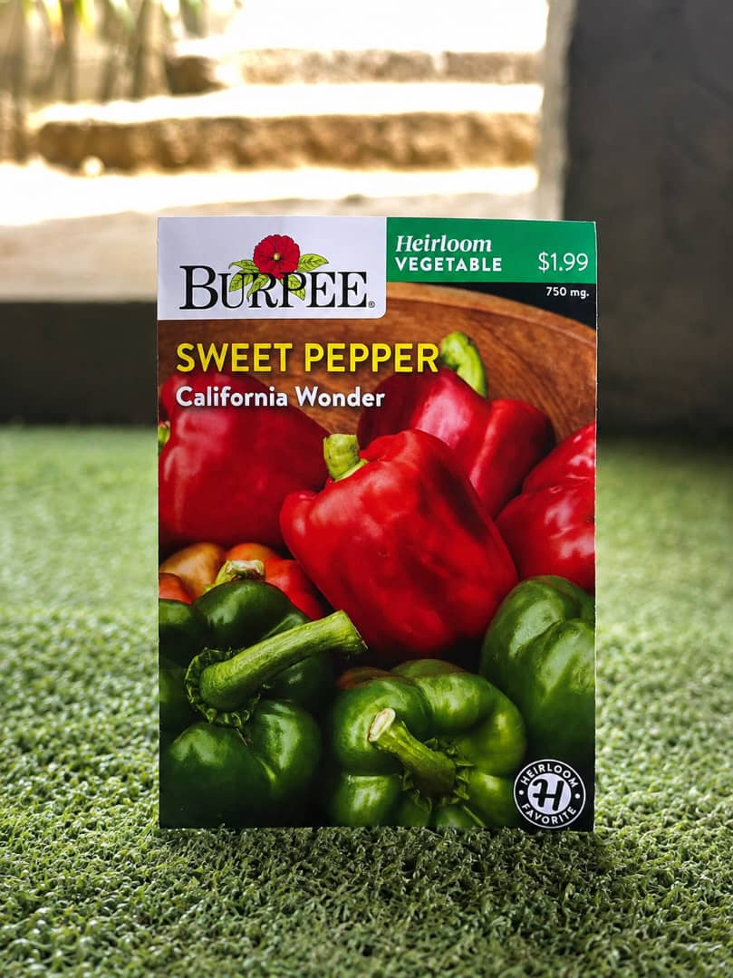 California Wonder sweet pepper seeds