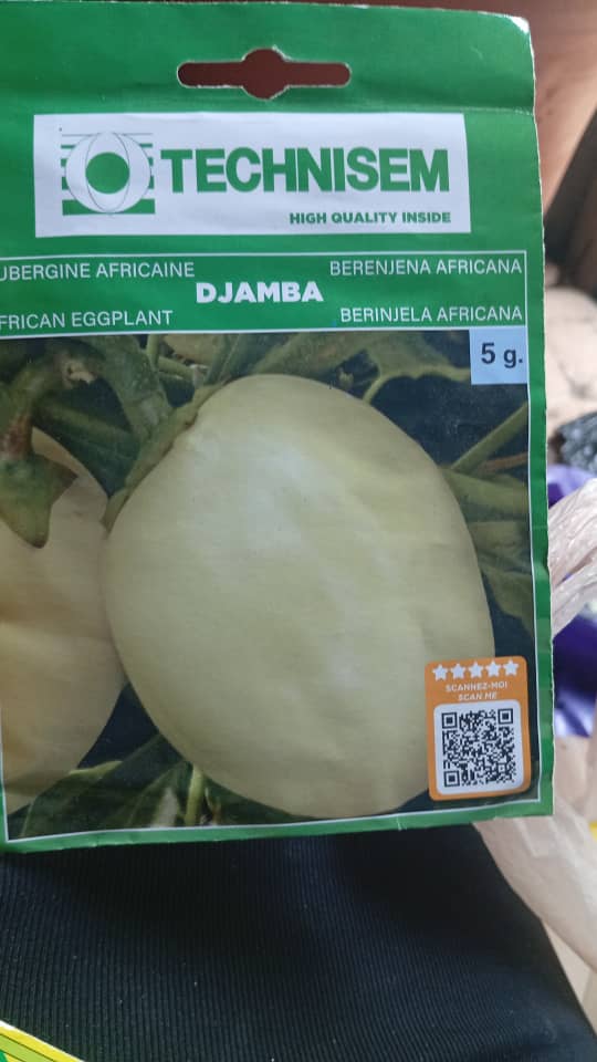 Technisem African Egg Plant Djamba 5g