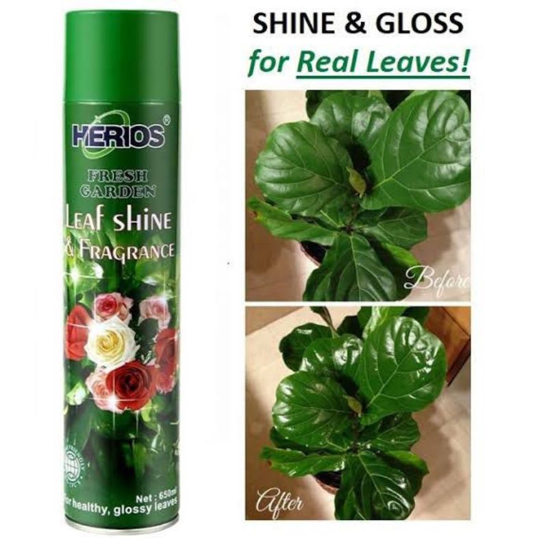 Herios Leaf Shine and Fragrance.