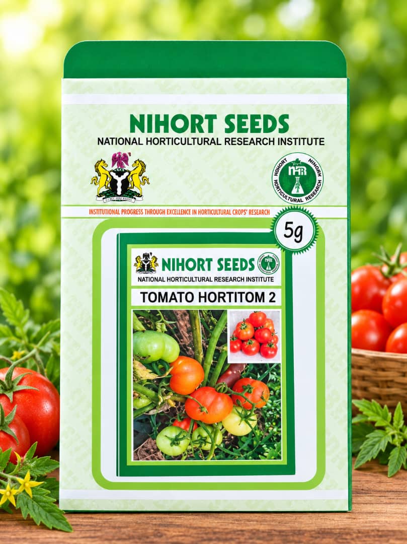 NIHORT Tomato seeds – HORTITOM 2