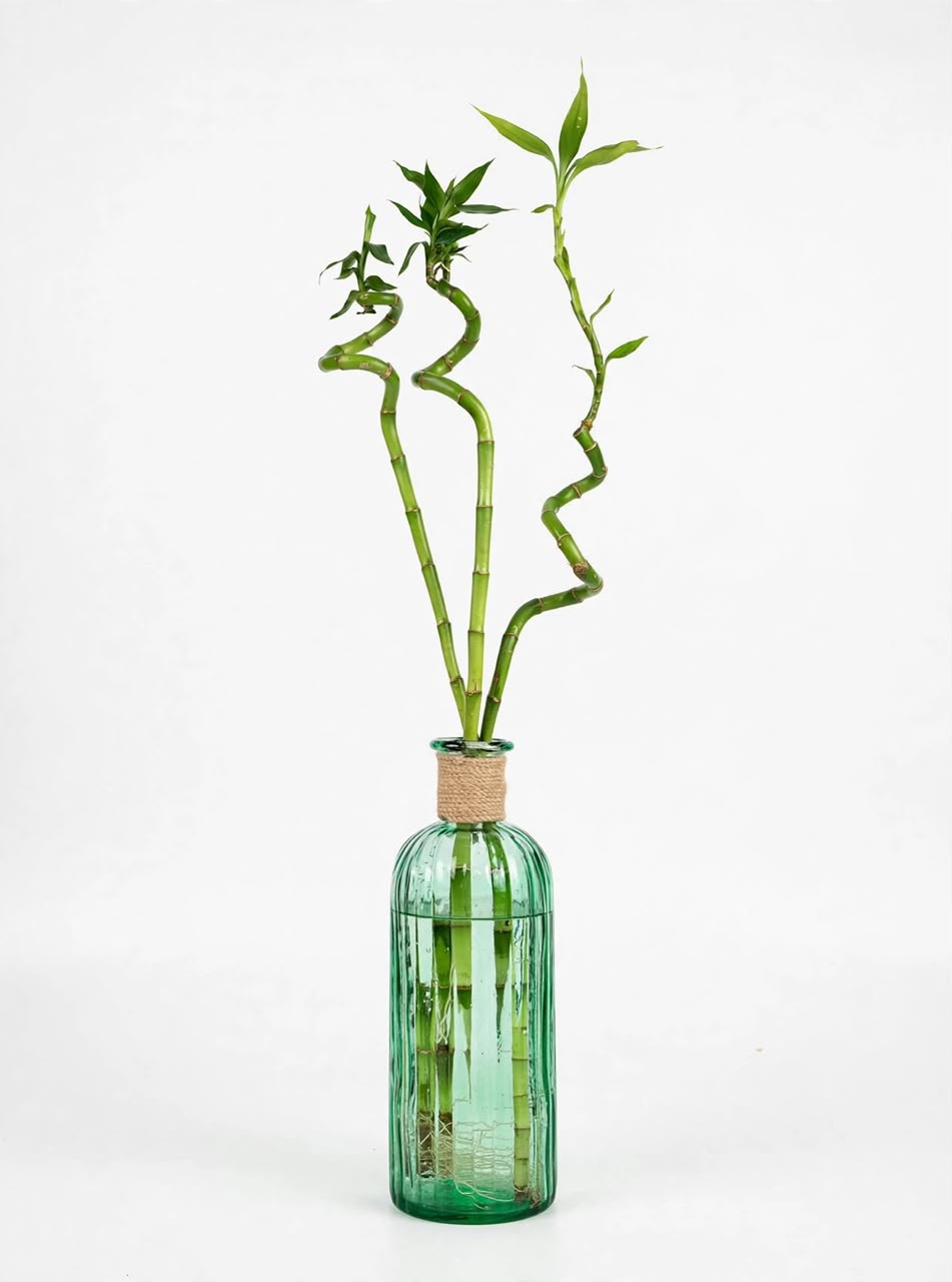 Decorative Vase Using Rope Vase Sofia with Jute Rope 2.5L – Savvy Gardens Centre