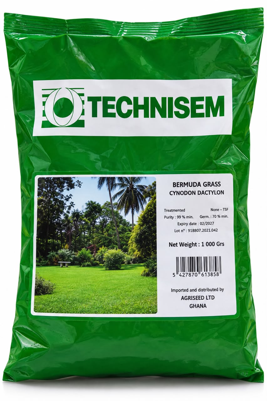 Technisem Bermuda Grass (Cynodon Dactylon) 1kg