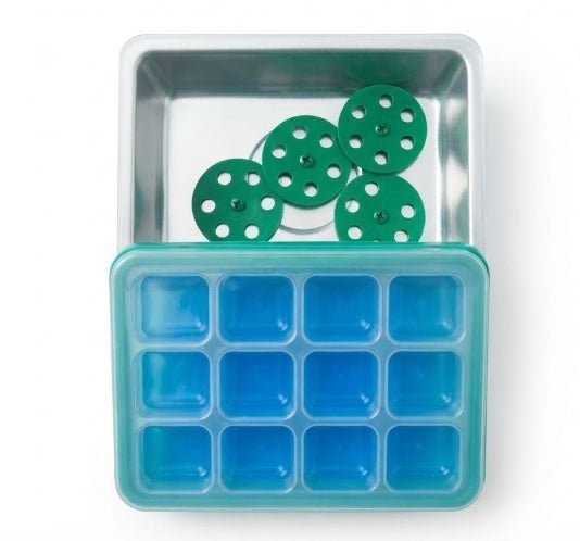 Seedling Starter Propagation Tray With Green Ventilation Discs - Savvy Gardens Centre