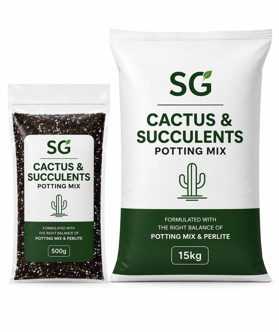 SG Cactus & Succulents Potting Mix - Savvy Gardens Centre