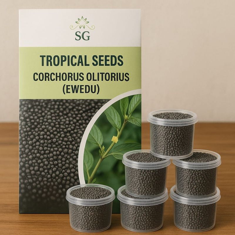 SG Tropical Seeds Corchorus Olitorius ( Ewedu ) 18g - Savvy Gardens Centre