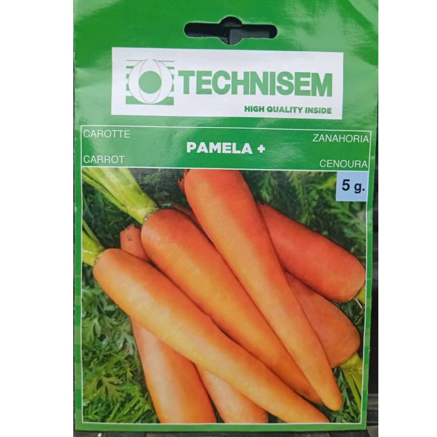 Technisem Carrot Seeds (Nantaise Variety) - Savvy Gardens Centre