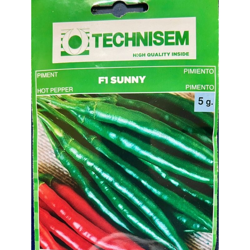 Technisem Hot Pepper Chilli Sunny - Savvy Gardens Centre