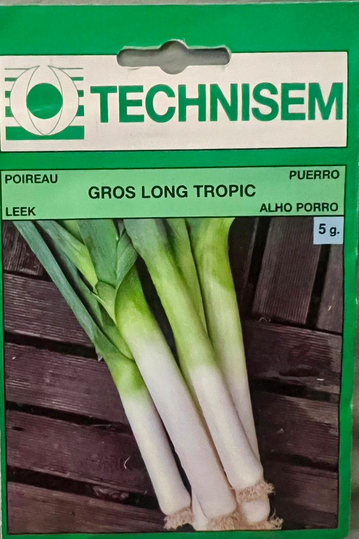 Technisem Leek Gros Long Tropic - Savvy Gardens Centre