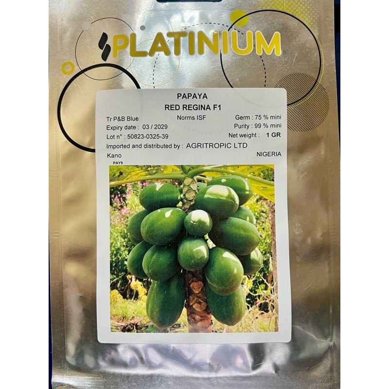 Technisem Papaya Red Regina - Savvy Gardens Centre