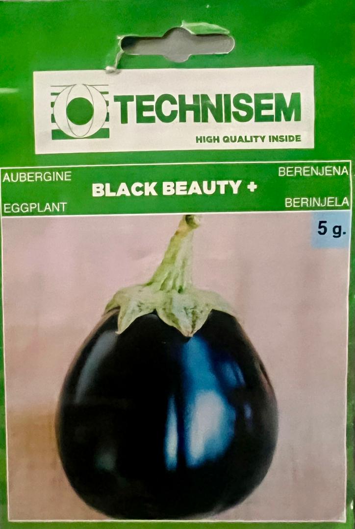 Technism Egg Plant (black beauty) - Savvy Gardens Centre