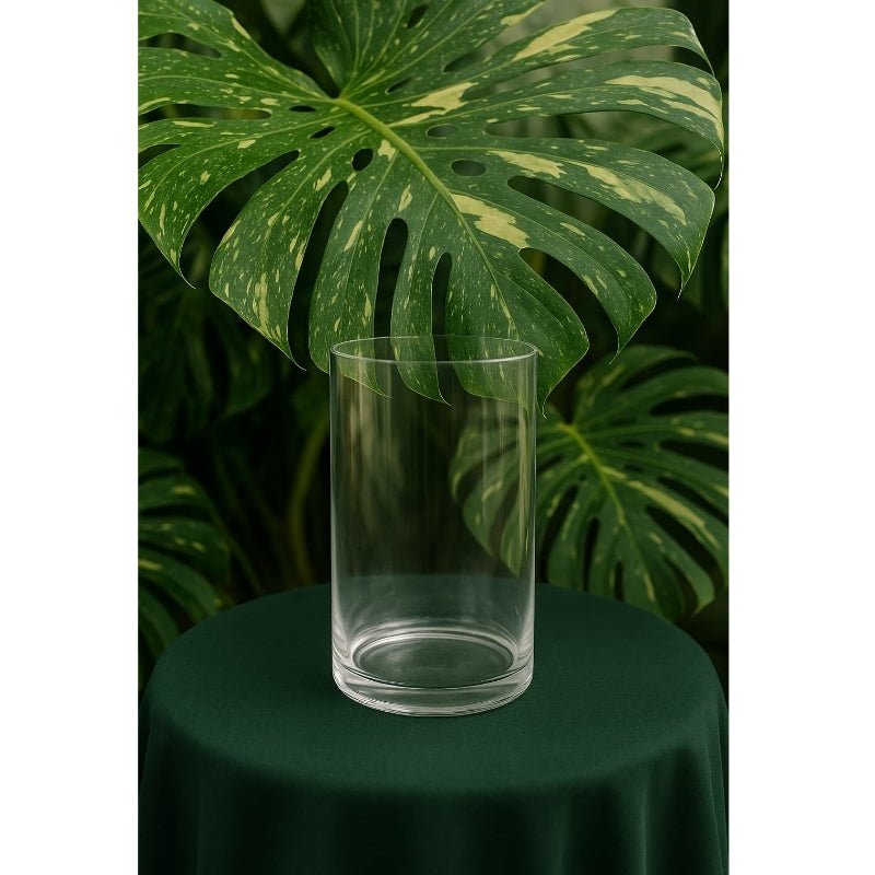 Transparent Hydroponic Planter 20cm - Savvy Gardens Centre