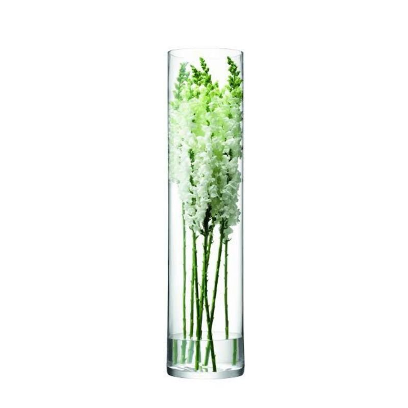 Transparent Hydroponic Vase 60cm - Savvy Gardens Centre