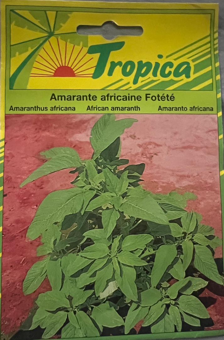 Tropica Amarantus Africana - Savvy Gardens Centre