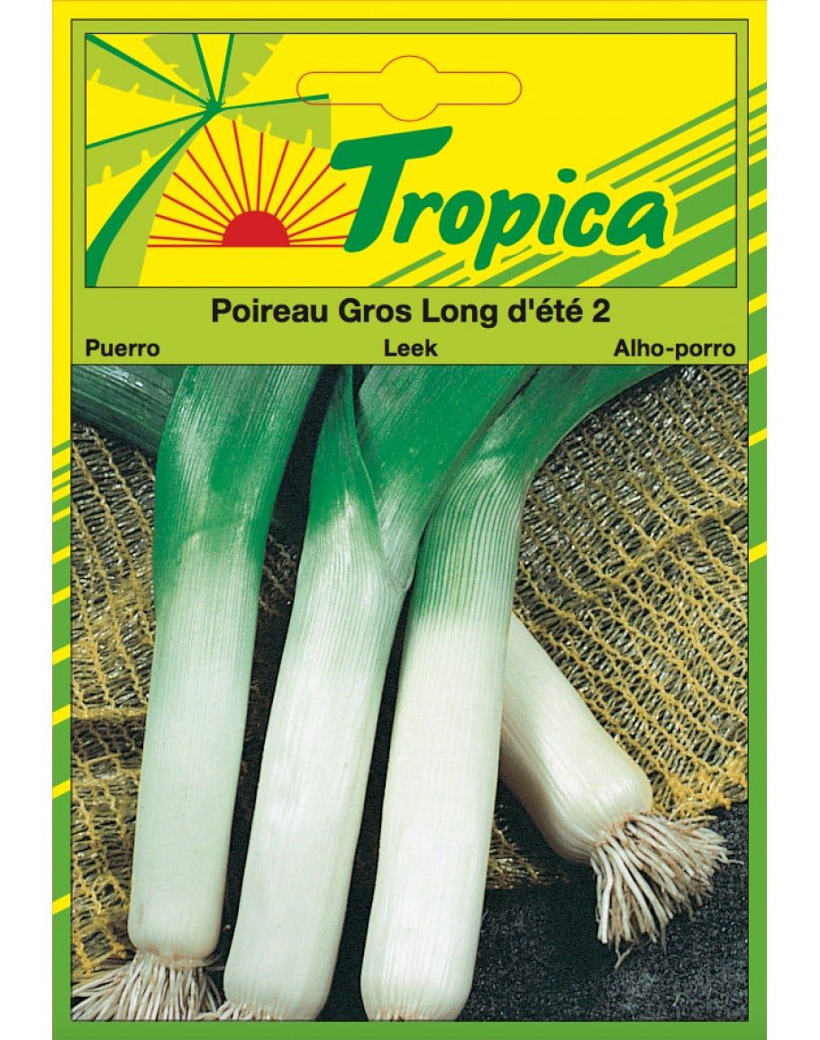 Tropica Gross Long Leek (d'ete 2) - Savvy Gardens Centre
