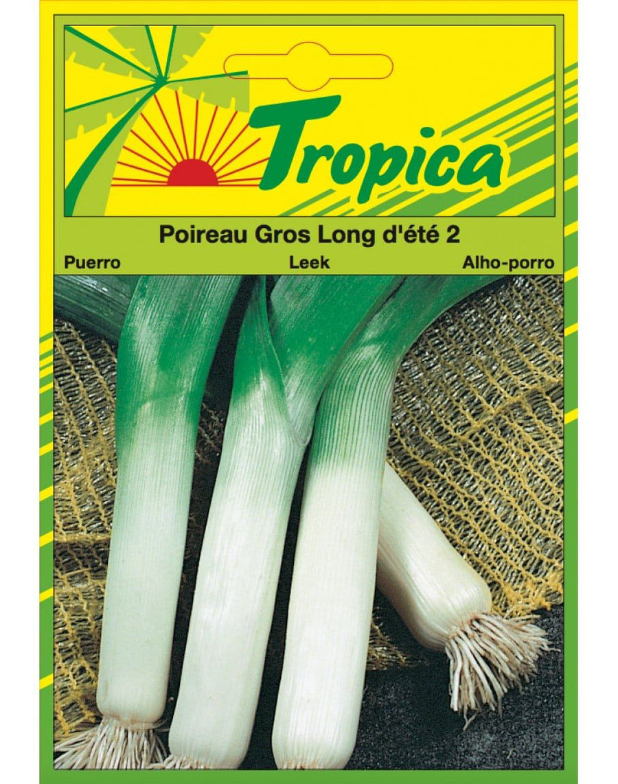 Tropica Gross Long Leek (d'ete 2) - Savvy Gardens Centre