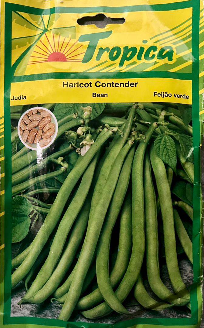 Tropica Haricot Contender Beans (Judia) - Savvy Gardens Centre