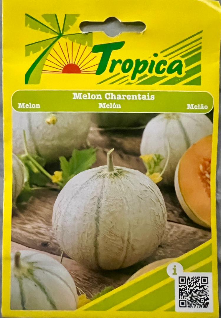 Tropica Melon Charentais - Savvy Gardens Centre