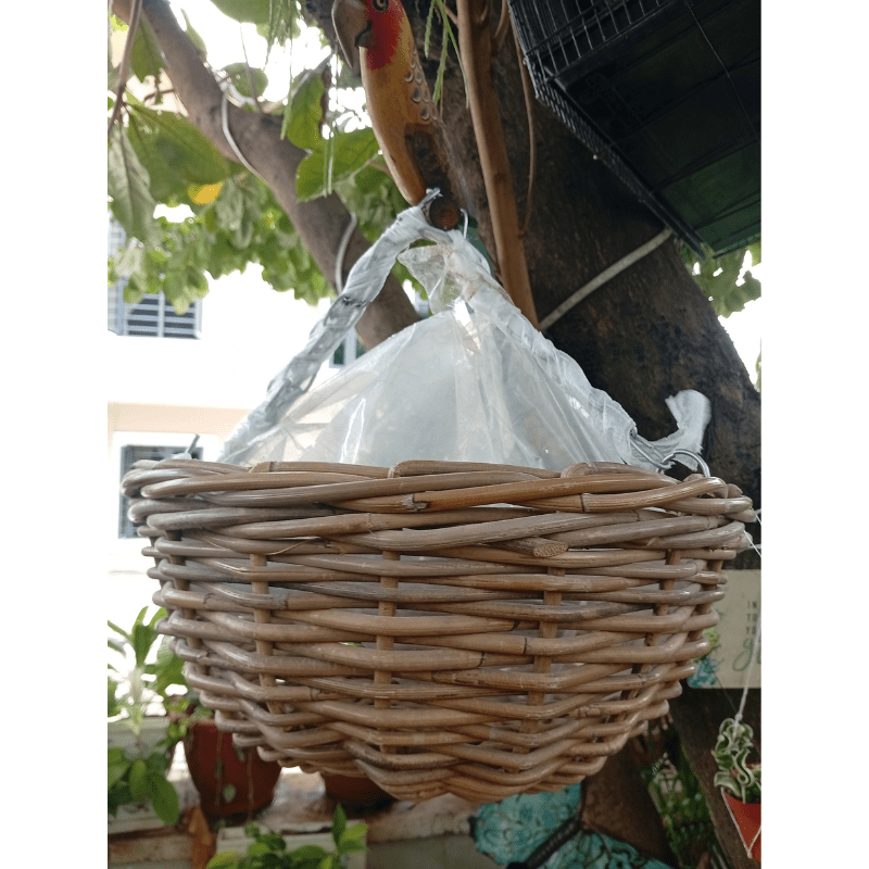 Ud Hanging Planter - Savvy Gardens Centre