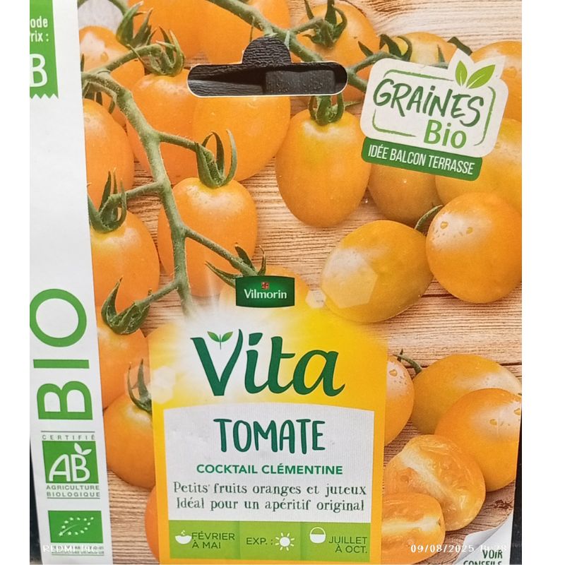 Vilmorin Vita Clementine Cocktail Tomato - Savvy Gardens Centre