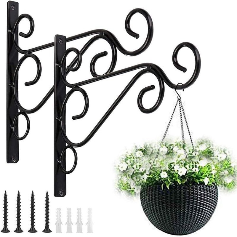 Wall Bracket Wrought Iron Plant Hanger - Savvy Gardens Centre