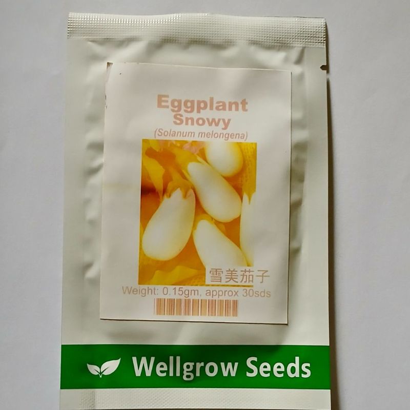 Well Grow Eggplant Snowy (Solanum melongena) - Savvy Gardens Centre
