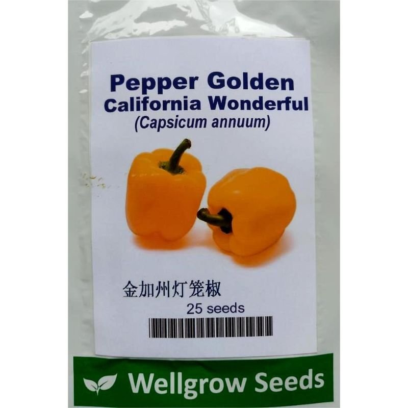 Wellgrow Pepper Golden California Wonder - Savvy Gardens Centre