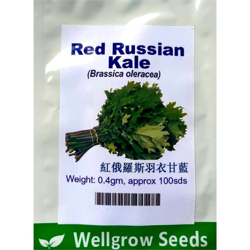 Wellgrow Red Russian Kale - Savvy Gardens Centre