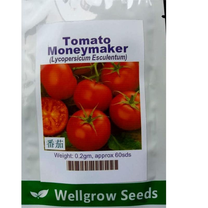 Wellgrow Tomato Moneymaker - Savvy Gardens Centre