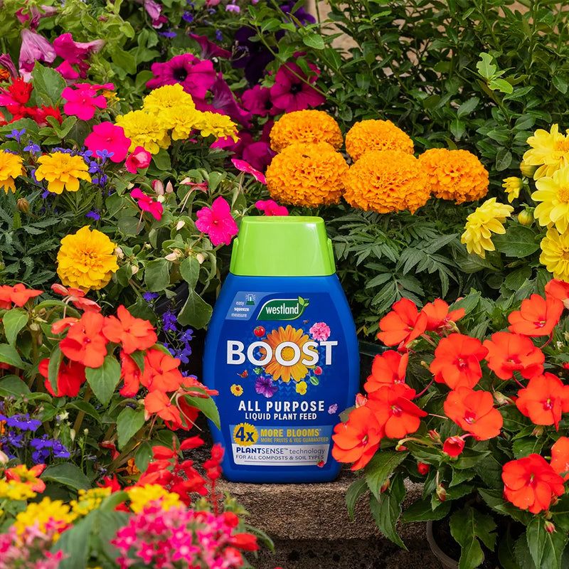 Westland Boost All Purpose Liquid Plant Feed - Savvy Gardens Centre