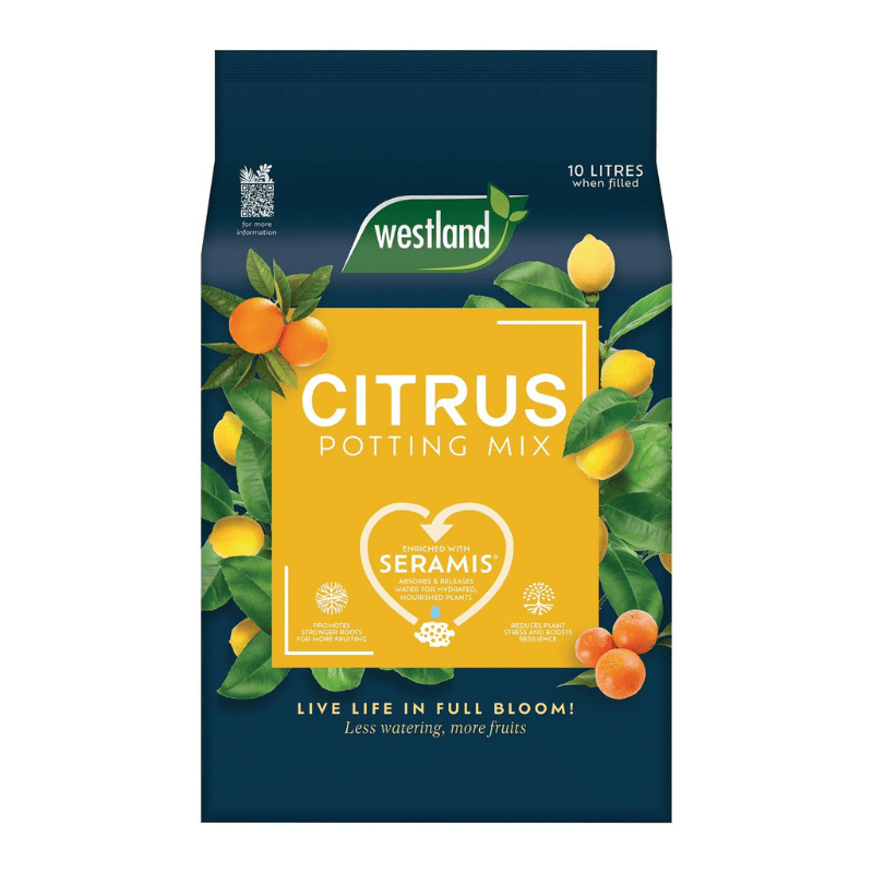Westland Citrus Potting Mix - Savvy Gardens Centre