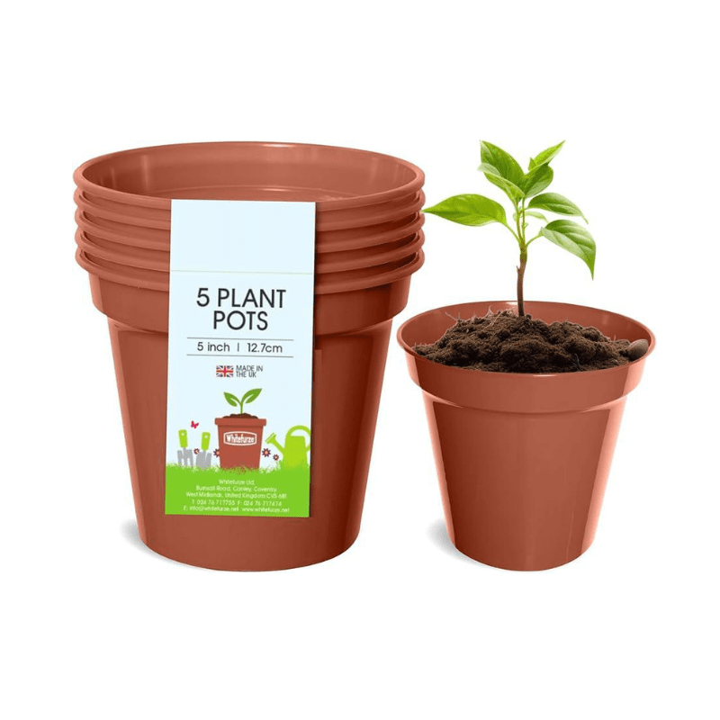 Whitefurze Pot 5 Pieces Set 5inch - Savvy Gardens Centre