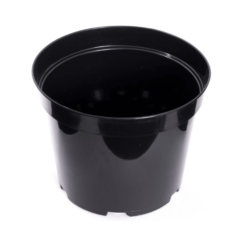 Whitefurze Pot Black 20Cm - Savvy Gardens Centre